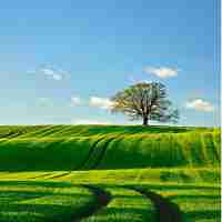 自‍动​Vue3插‌件﻿